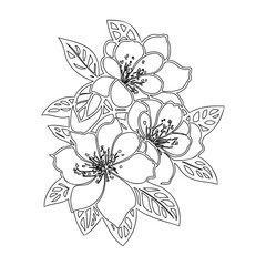 Elegant floral outline illustration featuring blooming flowers and stylized leaves