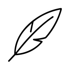 Feather illustration vector graphic bird feather quill feather isolated feather art