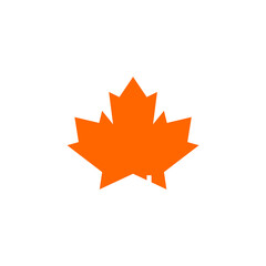 Orange Maple Leaf on White Background