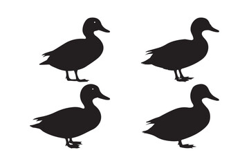 Duck Silhouette Vector Set Black Outline Waterfowl Graphics for Print and Design