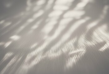 white shadow texture paper background sunlight sun interior modern silhouette blurry sunny concept table environment concrete template light blur product bright summer nature tropical blurred wall
