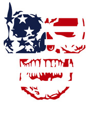 tete de mort drapeau americain usa crane