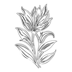 Elegant floral design with flowing lines offering a graceful botanical element