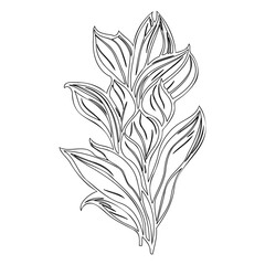 Stylized floral composition exhibiting line art elements with organic forms