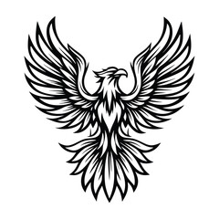 Bold Monochrome Phoenix Silhouette with Detailed Feathers Spread Wings isolated