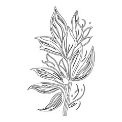 Elegant botanical drawing featuring stylized leaves and delicate line patterns