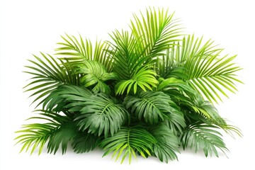 A vibrant display of tropical foliage featuring palm and monstera leaves against a white background
