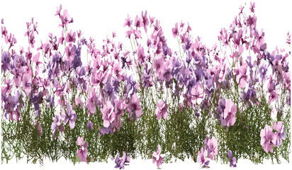 Naklejka premium Vector isolated blossoms flowery landscaped row, spring flowers background, vibrant floral design, nature scene, blooming petals, flower garden, botanical layout, fresh blossom row.