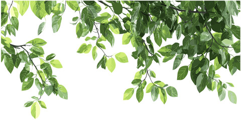 Tropics greenery tree branch leafs foreground, isolated green leaves, lush tropical foliage, nature background, vibrant green leaves, jungle plant life, tropical rainforest © aura studio