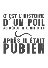 histoire poil etais bien apres pubien humour citation phrase drole