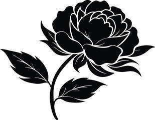  Beautiful flower peony with stem silhouette black vector illustration