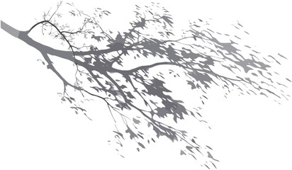 Vector tree shadow leaves, sunshade movement png, realistic foliage, transparent background, sunshade tree branches, tree shadow sun, nature effect, realistic shadow sunlight