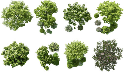 Gardening outdoors trees set, cutout top view trees, landscaping collection, grand trees park layout, urban nature, peaceful greenery, tree map assets, aerial botany © aura studio