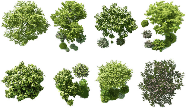 Gardening outdoors trees set, cutout top view trees, landscaping collection, grand trees park layout, urban nature, peaceful greenery, tree map assets, aerial botany