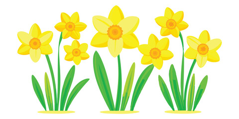 Bright Yellow Daffodils Vector Illustration, Fresh Blooming Daffodils Artwork, Colorful Daffodil Flower Garden Vector, Springtime Daffodil Flowers Clipart, Colorful Daffodil Flower Garden Vector