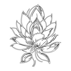 Elegant botanical line art illustration of an abstract floral blossom design