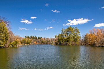 Early Spring landscape of a peaceful park lagoon beneath a blue sky and puffy white clouds in a...