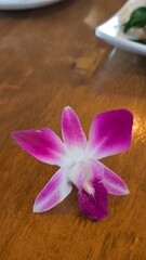 Purple orchid on a wooden table