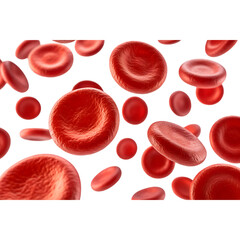 Red blood cells erythrocytes floating in bloodstream medical illustration for science and healthcare concepts isolated on transparent background
