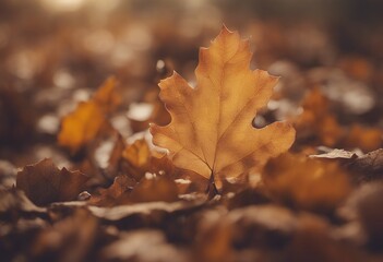 oak background leaf autumn brown acorn bee deciduous plant art green wildlife pattern nut tree fall foliage floral rust nature seed illustration moth warm drawing