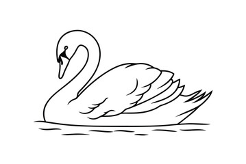 Elegant Swan Floating Gracefully On Water Minimalist Black And White Vector Design