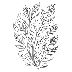 Obraz premium Elegant foliage composition forming a stylized botanical element illustration