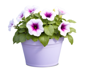 Charming Petunia Display, A vibrant arrangement of playful petunia flowers showcasing their delicate petals and lush greenery in an aesthetically pleasing composition