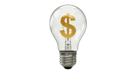 Isolated Light Bulb Dollar Sign