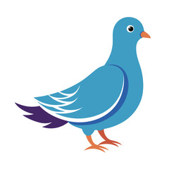 Fototapeta premium Dove isolated on white background