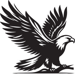 eagle vector illustration