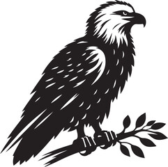 eagle vector illustration