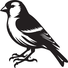 American Robin silhouette icon vector illustration on white background.