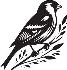 American Robin silhouette icon vector illustration on white background.