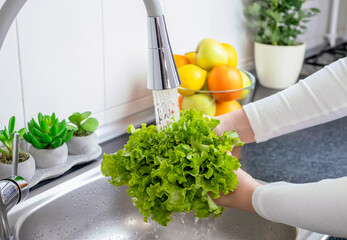 Woman hands washing a fresh lettuce to prepare a fresh salad