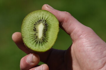 kiwi cut in half macro 