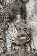 Weathered stone relief of tiger on temple structure, representing protection and bravery, Hanoi, Vietnam on December 29, 2019