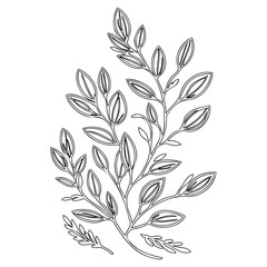 Elegant botanical line art with leaves and branches for simple design elements