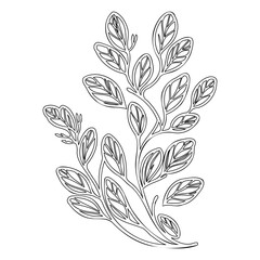 Elegant botanical illustration: A graceful sprig with intricately outlined leaves