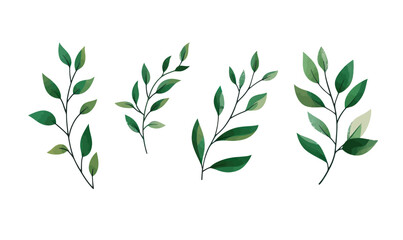 Minimalist Botanical Green Branches with Leaves for Stickers and Decor