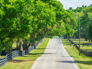 Rolling stretch of road across horse country in a scenic rural area of Ocala, Florida, on a bright morning in springtime