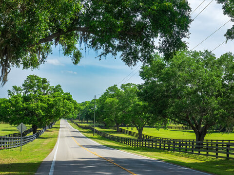 Perspective of a scenic road winding through horse country in a rural area of Ocala, Florida, on a bright morning in spring