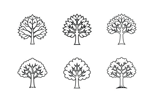 sycamore tree line art vector illustration