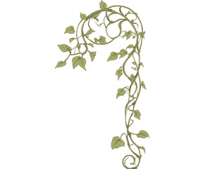 Elegant Art Nouveau Inspired Illustration of a Vine with Delicate Leaves, perfect for adding a touch of vintage charm to any creative project or design