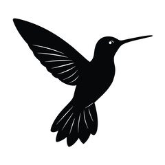 Hummingbird Silhouette Vector Art – Black and White Hummingbird Illustration Design