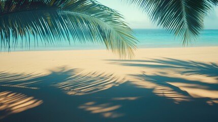 Palm fronds cast shadows on a tropical beach scene