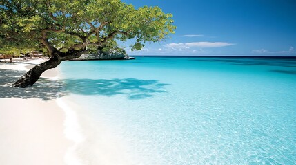 A tranquil beach scene with crystal clear turquoise water and a lush tree.