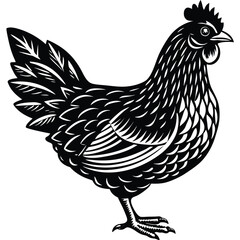 rooster isolated on white, vector 