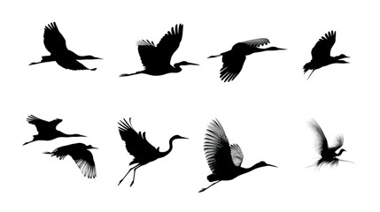 Obraz premium Set of a flying bird Vector illustration silhouette image icon
