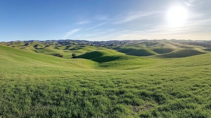 Fototapeta premium Rolling Green Hills Under a Bright Sunny Sky
