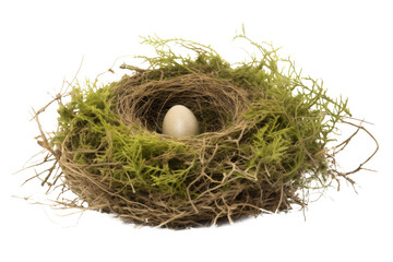 Obraz premium A Nest of Life 